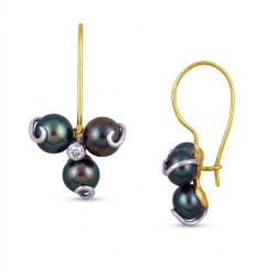 Σκουλαρίκια Κ14 χρυσά και λευκόχρυσα με μαργαριτάρια και ζιργκόν - S1252317B